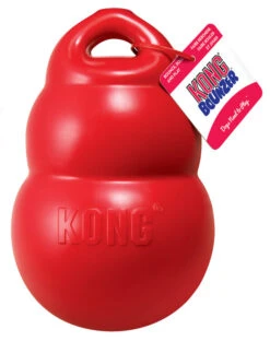 KONG Bounzer Dog Toy