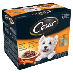 Cesar Pouch Deliciously Fresh Favourites In Sauce 24x100g