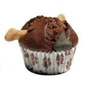 6 X Barking Bakery Woofin Carob