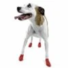 Pawz Dog Boots Red Small 1 Pawz Dog Boots Red Small -Deals Dog Tug Toy Store 773750
