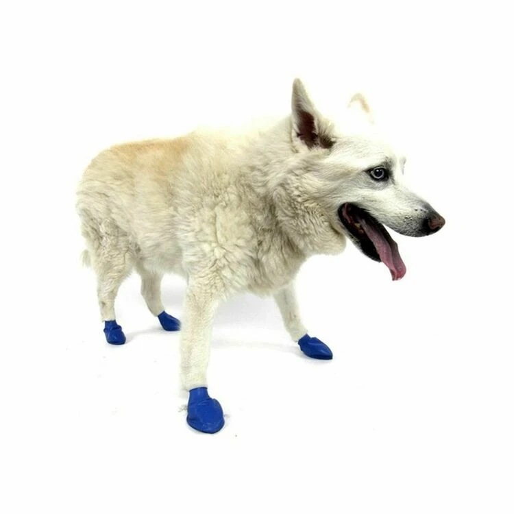 Pawz Dog Boots Blue Medium 3 Pawz Dog Boots Blue Medium