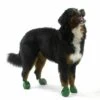 Pawz Dog Boots Green Extra Large 2 Pawz Dog Boots Green Extra Large -Deals Dog Tug Toy Store 773815