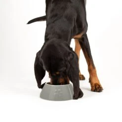 Scruffs® Classic Long Eared Dog Bowl Grey -Deals Dog Tug Toy Store 822710 2