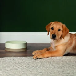 Scruffs® Scandi Non Tip Bowl Cream 7 Scruffs® Scandi Non Tip Bowl Cream -Deals Dog Tug Toy Store 823205 2 1