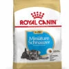 ROYAL CANIN® Miniature Schnauzer Puppy Dry Food 2 ROYAL CANIN® Miniature Schnauzer Puppy Dry Food -Deals Dog Tug Toy Store b3gofh7vf1zfzrauthjw