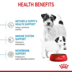 ROYAL CANIN® Mini Starter Mother & Babydog Adult And Puppy Dry Food 32 ROYAL CANIN® Mini Starter Mother & Babydog Adult And Puppy Dry Food -Deals Dog Tug Toy Store boz2m5u7xrl0em0vstog