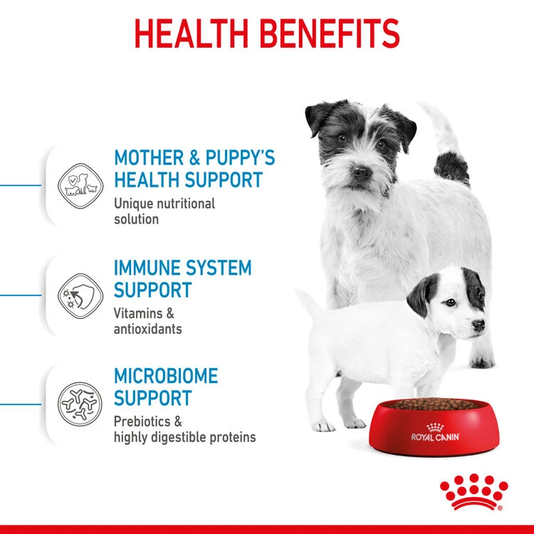 ROYAL CANIN® Mini Starter Mother & Babydog Adult And Puppy Dry Food 13 ROYAL CANIN® Mini Starter Mother & Babydog Adult And Puppy Dry Food - Image 11