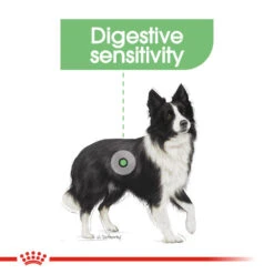 ROYAL CANIN® Medium Digestive Care Adult Dry Dog Food 15 ROYAL CANIN® Medium Digestive Care Adult Dry Dog Food -Deals Dog Tug Toy Store bu8qmp0gszrkna5s4cy3