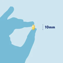 Dorwest Cod Liver Oil Capsules 19 Dorwest Cod Liver Oil Capsules -Deals Dog Tug Toy Store cd pt03