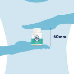 Dorwest Digestive Supplement Tablets -Deals Dog Tug Toy Store dg100 pt12