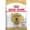 ROYAL CANIN® Great Dane Adult Dry Dog Food 2 ROYAL CANIN® Great Dane Adult Dry Dog Food -Deals Dog Tug Toy Store e0ss968a8heapxmtnw3y