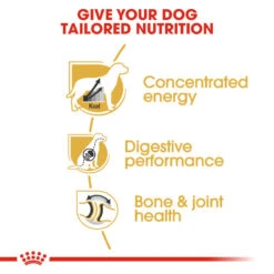 ROYAL CANIN® Great Dane Adult Dry Dog Food 14 ROYAL CANIN® Great Dane Adult Dry Dog Food -Deals Dog Tug Toy Store fachknvvgye1seyudtsn