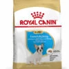 ROYAL CANIN® French Bulldog Puppy Dry Food -Deals Dog Tug Toy Store fdcaceozhohfgiuqgfu6
