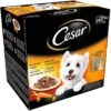 48 X 100g Cesar Deliciously Fresh Dog Food Pouches Favourites In Sauce 1 48 X 100g Cesar Deliciously Fresh Dog Food Pouches Favourites In Sauce -Deals Dog Tug Toy Store fm 2019 11 28 08 39 00 42780 images