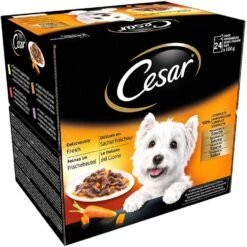 48 X 100g Cesar Deliciously Fresh Dog Food Pouches Favourites In Sauce