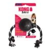 KONG Extreme Dog Ball With Rope Large -Deals Dog Tug Toy Store fm 2020 07 13 03 34 47 10832 images