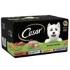 Cesar Garden Terrine Mixed Selection In Loaf Dog Food 2 Cesar Garden Terrine Mixed Selection In Loaf Dog Food -Deals Dog Tug Toy Store fm 2021 05 20 08 49 52 47942 images