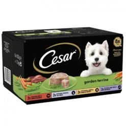 Cesar Garden Terrine Mixed Selection In Loaf Dog Food