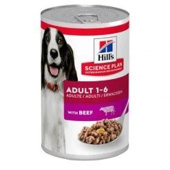 12 X Hill's Science Plan Adult Dog Food With Beef 370g