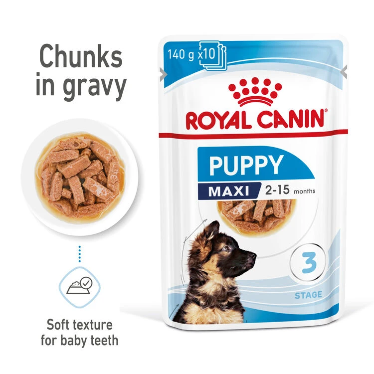 ROYAL CANIN® Maxi Large Breed Puppy In Gravy Wet Food 6 ROYAL CANIN® Maxi Large Breed Puppy In Gravy Wet Food - Image 4