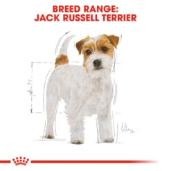 ROYAL CANIN® Jack Russell Terrier Adult Dry Dog Food 12 ROYAL CANIN® Jack Russell Terrier Adult Dry Dog Food -Deals Dog Tug Toy Store ienhfezwamuchdo6vcn1
