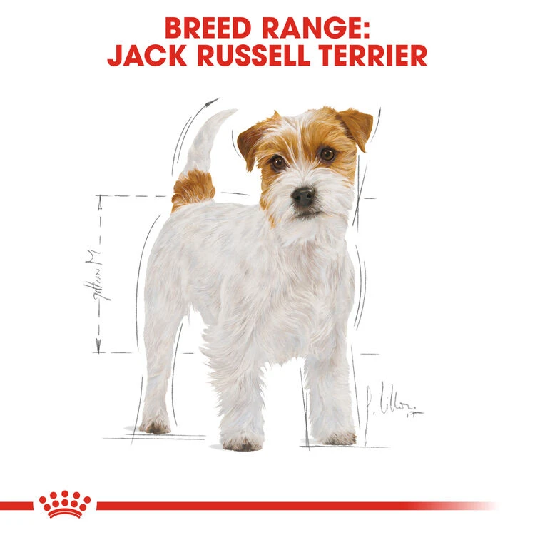 ROYAL CANIN® Jack Russell Terrier Adult Dry Dog Food 5 ROYAL CANIN® Jack Russell Terrier Adult Dry Dog Food - Image 3