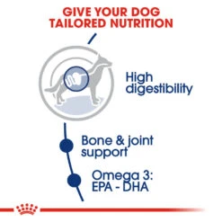 ROYAL CANIN® Maxi Large Breed Adult Dry Dog Food -Deals Dog Tug Toy Store ijhnw3dwgcxyrwqbba7h