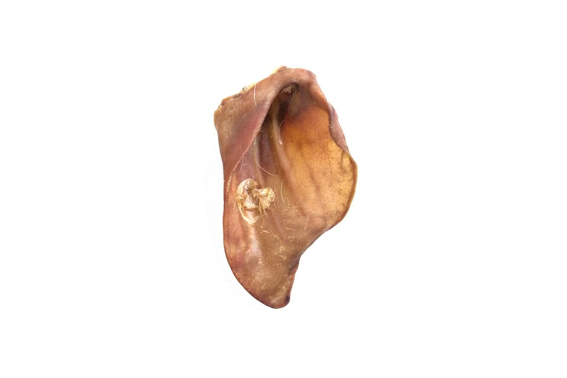 Hollings Natural Dog Treat Pigs Ears Bulk X 50 4 Hollings Natural Dog Treat Pigs Ears Bulk X 50 - Image 2