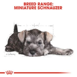 ROYAL CANIN® Miniature Schnauzer Puppy Dry Food -Deals Dog Tug Toy Store ivrotnr0f4roox0da5yh