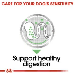 ROYAL CANIN® Digestive Care Wet Pouches All Breeds Adult Dog Food 15 ROYAL CANIN® Digestive Care Wet Pouches All Breeds Adult Dog Food -Deals Dog Tug Toy Store izhmyfbrhwrokvytz24g