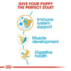 ROYAL CANIN® Boxer Puppy Dry Food -Deals Dog Tug Toy Store jmonkaj4vtdemvzuhrqh