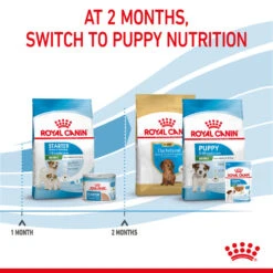 ROYAL CANIN® Mini Starter Mother & Babydog Adult And Puppy Dry Food 34 ROYAL CANIN® Mini Starter Mother & Babydog Adult And Puppy Dry Food -Deals Dog Tug Toy Store k65vehotjt62kgi4hojz