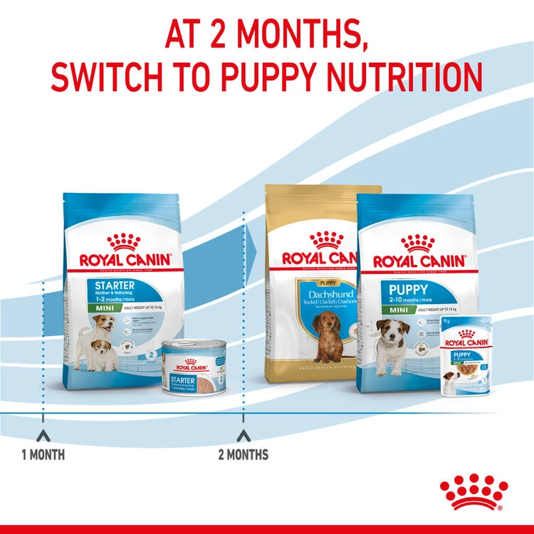 ROYAL CANIN® Mini Starter Mother & Babydog Adult And Puppy Dry Food 15 ROYAL CANIN® Mini Starter Mother & Babydog Adult And Puppy Dry Food - Image 13