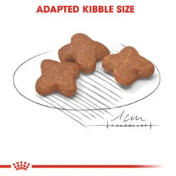 ROYAL CANIN® Mini Adult 8+ Dry Dog Food 16 ROYAL CANIN® Mini Adult 8+ Dry Dog Food -Deals Dog Tug Toy Store lflp9nkfzznncqj9da7q