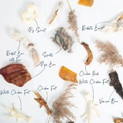 Lords & Labradors Natural Graze Ultimate Treat Box 7 Lords & Labradors Natural Graze Ultimate Treat Box -Deals Dog Tug Toy Store lords and labradors natural treats box studio annotation 657f5448 8ff8 4cad ab85 b8d3ba1e9f95 1920x.progressive