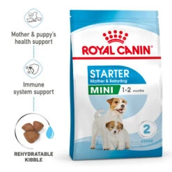ROYAL CANIN® Mini Starter Mother & Babydog Adult And Puppy Dry Food 26 ROYAL CANIN® Mini Starter Mother & Babydog Adult And Puppy Dry Food -Deals Dog Tug Toy Store m0gpfco1hcyo28lrhkpx