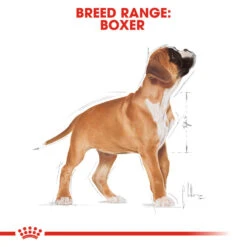 ROYAL CANIN® Boxer Puppy Dry Food -Deals Dog Tug Toy Store mawur3ufx7onliwqw58b