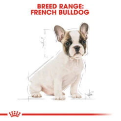 ROYAL CANIN® French Bulldog Puppy Dry Food -Deals Dog Tug Toy Store mgc5ih9afooc5fcyoamt