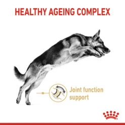 ROYAL CANIN® German Shepherd Adult 5+ Dry Dog Food 12 ROYAL CANIN® German Shepherd Adult 5+ Dry Dog Food -Deals Dog Tug Toy Store nweoj058vrslgcrebyqf