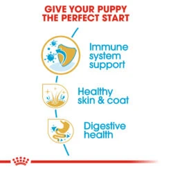 ROYAL CANIN® Cocker Puppy Dry Food 15 ROYAL CANIN® Cocker Puppy Dry Food -Deals Dog Tug Toy Store ornhrgcaz5munugptfaa