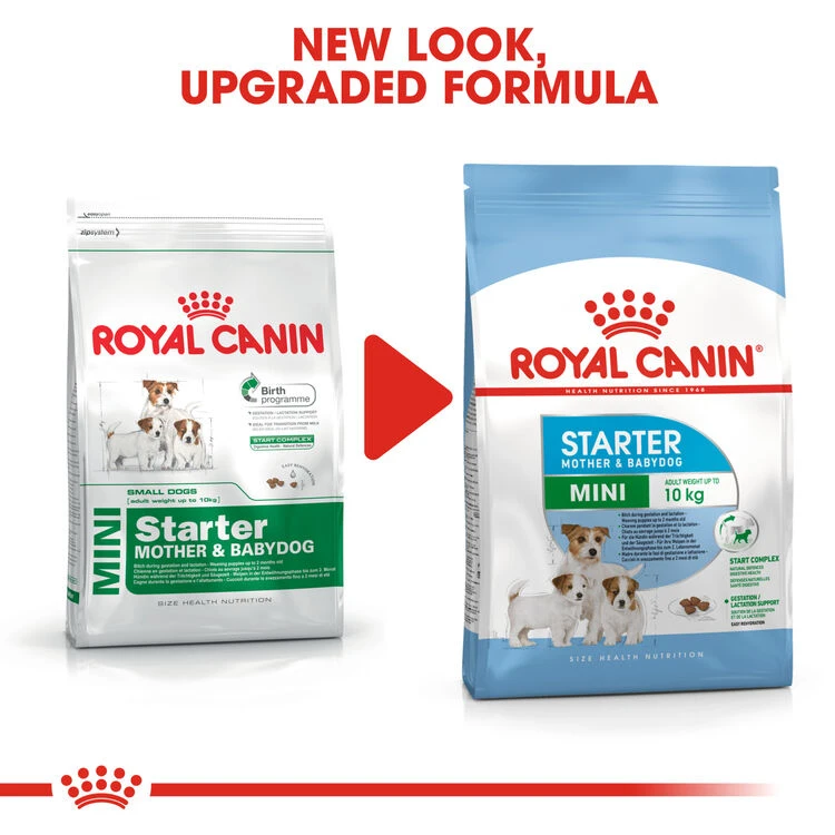 ROYAL CANIN® Mini Starter Mother & Babydog Adult And Puppy Dry Food 8 ROYAL CANIN® Mini Starter Mother & Babydog Adult And Puppy Dry Food - Image 6