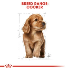 ROYAL CANIN® Cocker Puppy Dry Food 16 ROYAL CANIN® Cocker Puppy Dry Food -Deals Dog Tug Toy Store pd7xekocohldn3uanlsf