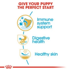 ROYAL CANIN® French Bulldog Puppy Dry Food -Deals Dog Tug Toy Store q1y8yxh2dnfym1h9jgey