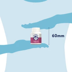 Dorwest Raspberry Leaf Tablets -Deals Dog Tug Toy Store rl100 pt12