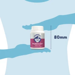 Dorwest Raspberry Leaf Tablets -Deals Dog Tug Toy Store rl200 pt12