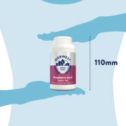 Dorwest Raspberry Leaf Tablets -Deals Dog Tug Toy Store rl500 pt12