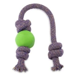 Beco Ball On A Rope Green