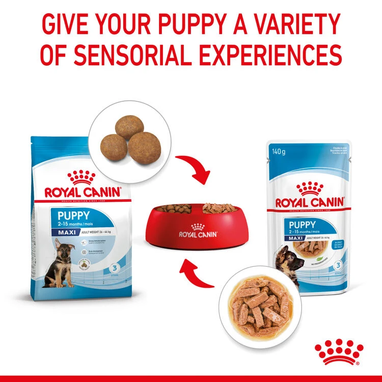 ROYAL CANIN® Maxi Large Breed Puppy In Gravy Wet Food 9 ROYAL CANIN® Maxi Large Breed Puppy In Gravy Wet Food - Image 7
