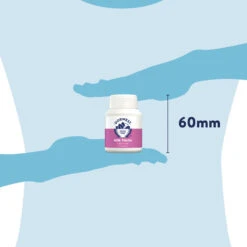 Dorwest Milk Thistle Tablets 17 Dorwest Milk Thistle Tablets -Deals Dog Tug Toy Store th100 pt12