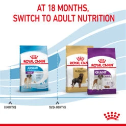 ROYAL CANIN® Giant Junior Puppy Dry Food -Deals Dog Tug Toy Store ucneptzi0c6foxfexf9q